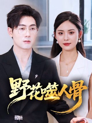 苍天有泪第六集在线观看视频