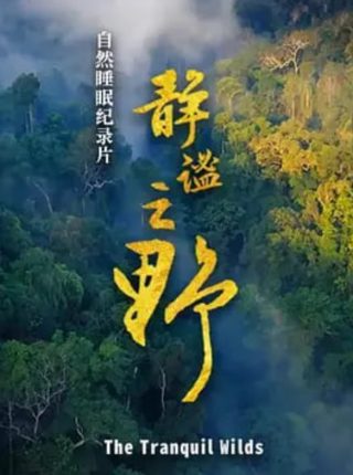 白虎免费下载