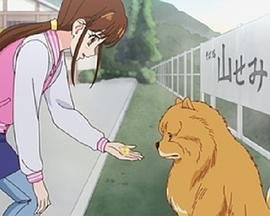 小鱼电视剧全集在线观看