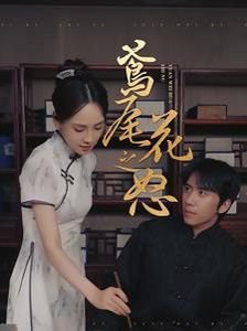 战火赤子心电视剧剧情介绍大结局视频