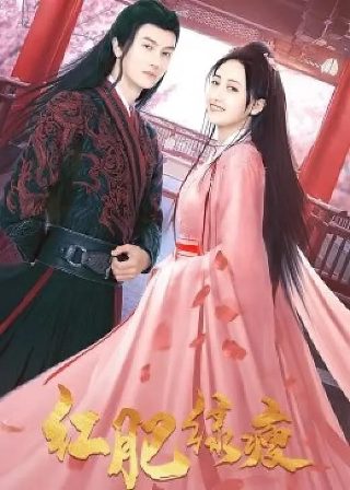 电视剧梨花泪演员表介绍图片