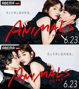 卿卿日常电视剧免费播放全集高清在线观看