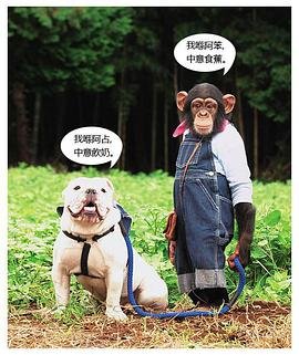 神雕侠侣剧情介绍完整版百度云