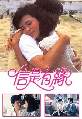 利剑玫瑰第15集剧情介绍大结局在线观看