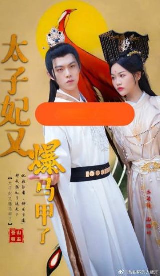 只为那一刻与你相见电视剧15集