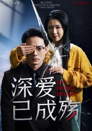 《李卫当官》演员表名单大全图片高清