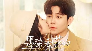 罗小黑战记壁纸无水印
