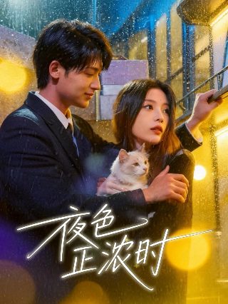 sugar什么意思怎么读