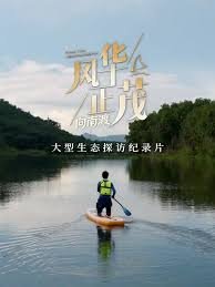 无赦之仇下载百度云资源