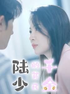 《扫黑风暴》24集免费观看电影中文版视频播放下载安装