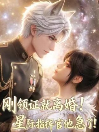 烧不尽