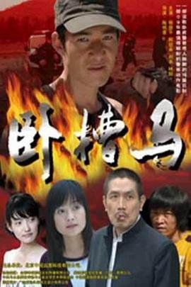 英雄本色4在线