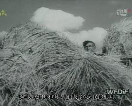 渺渺兮予怀短剧免费全集