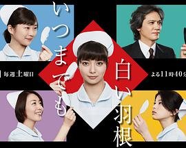蜂鸟大结局续集