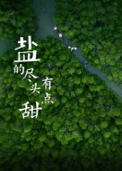 《兄弟》的作者简介是谁写的呢视频讲解
