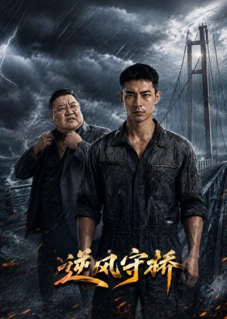 铠甲之吾为邪皇