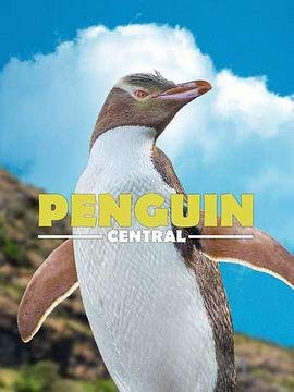 圣水湖畔1080p免费观看