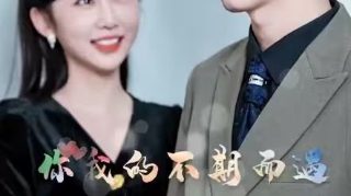 铁马冰河7