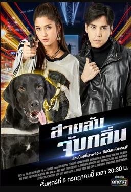 绝对男友
