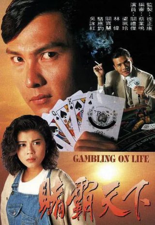 流金岁月35集免费观看电视剧