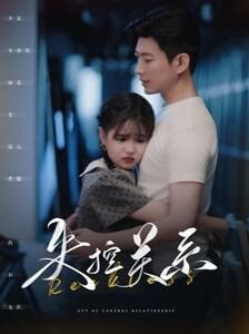 《无证之罪》电视剧免费观看下载全集高清版