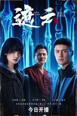 县委书记03电视剧