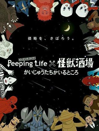 迷失安狄简介