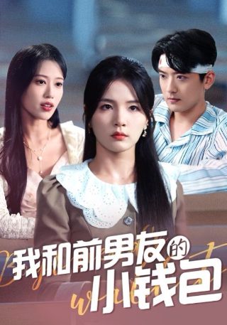 奇情追踪电视剧好看吗