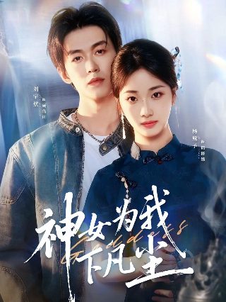 别惹我电视剧免费观看完整版策驰影院