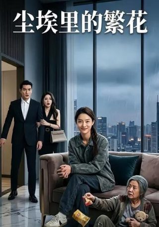 预谋电视剧大结局免费观看全集下载