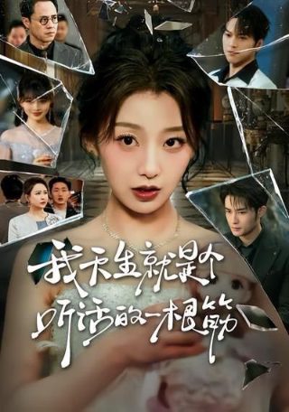 疯狂试爱电视剧剧情介绍大结局是什么