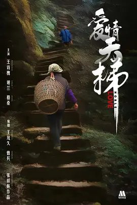 回到明朝当王爷电视剧全集在线看