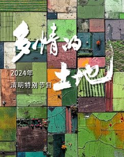 全职猎人官网在线观看免费