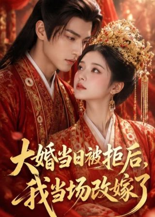 一夜新娘第十四集免费观看