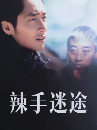 意外英雄第二季下载链接