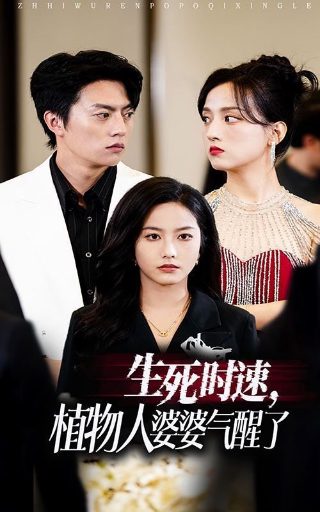 神犬小七第三季大结局边慕发烧感续