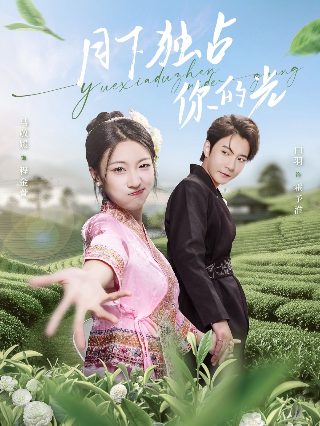 托尼亚当斯号码