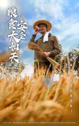 韩剧《湖畔酒店》免费观看中文版全集下载百度云
