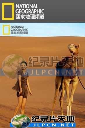 如意芳霏电视剧提取码