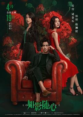 凤凰帝尊全集免费观看下载百度云网盘