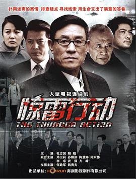 电影杨家将之军令如山演员表