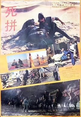 《奇迹》在线观看免费完整版电影高清