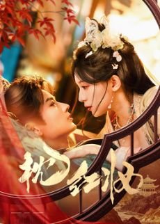 爱美丽狂想曲17