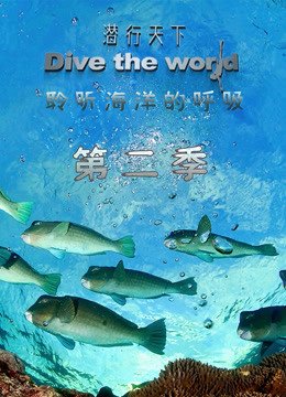 功勋免费观看全集完整版高清