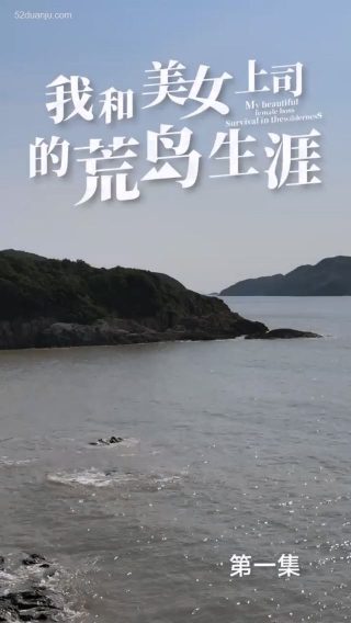电视剧追捕二王全集免费观看
