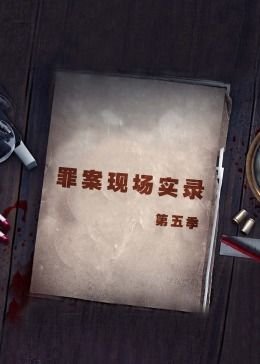 与君歌全集免费观看平台