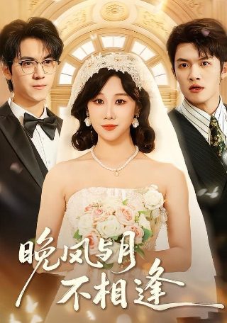 苦酒折柳今相离,无风无月再无你