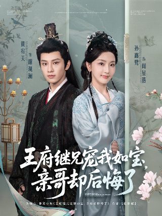 电视连续剧《大家庭》全集播放视频在线观看免费