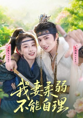 妄人妄途解说