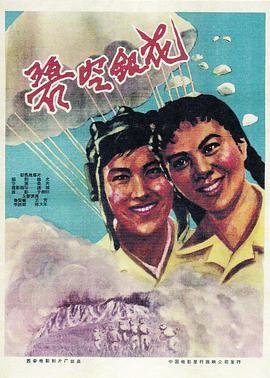 电视剧野鸭子全集解说